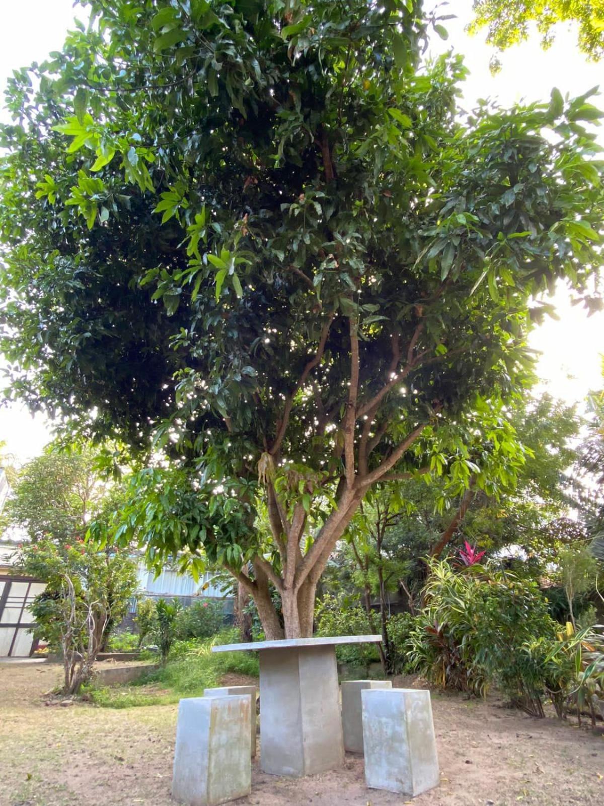 Sujatha Villa Paradise 坦加拉 外观 照片