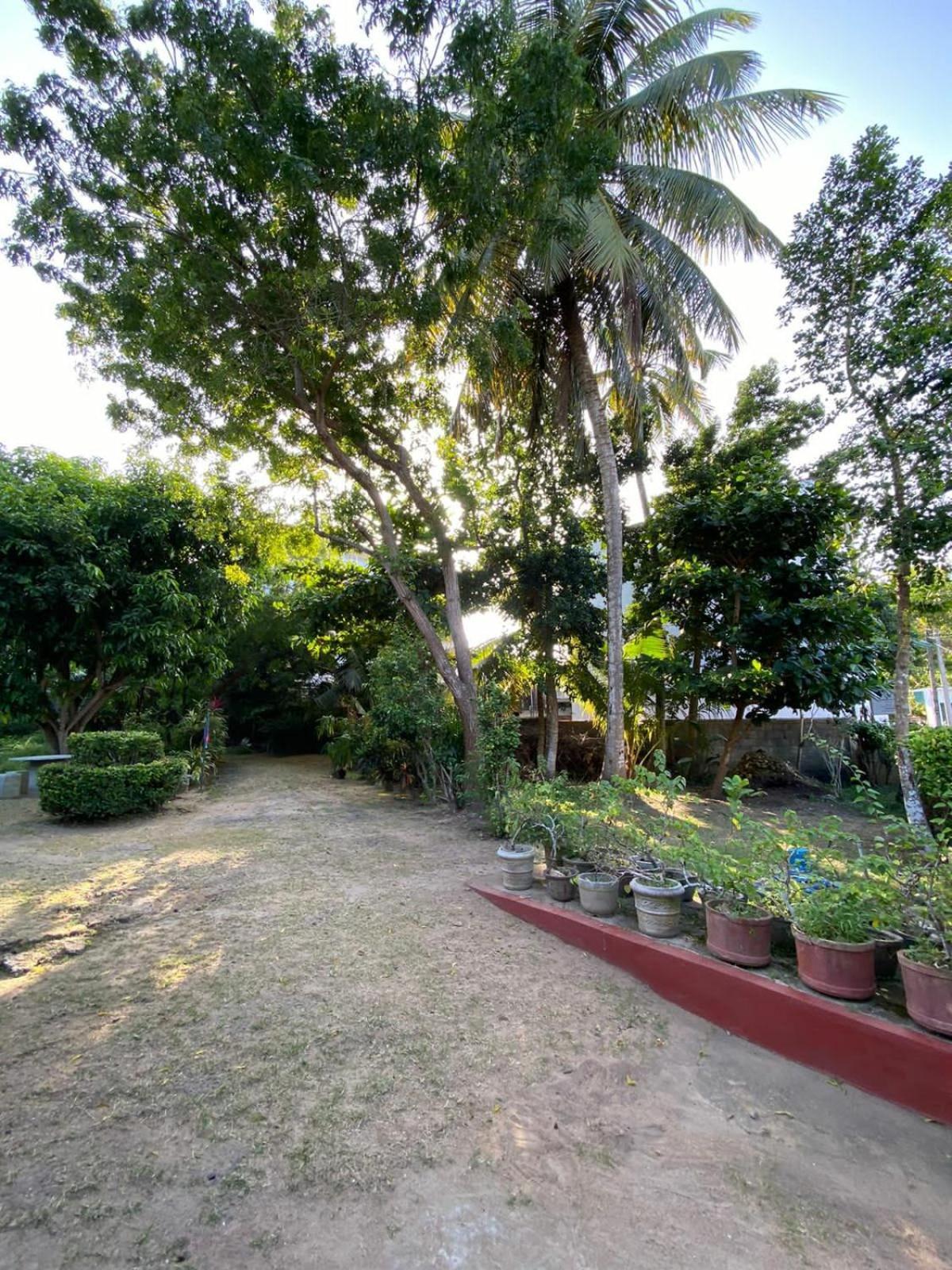 Sujatha Villa Paradise 坦加拉 外观 照片